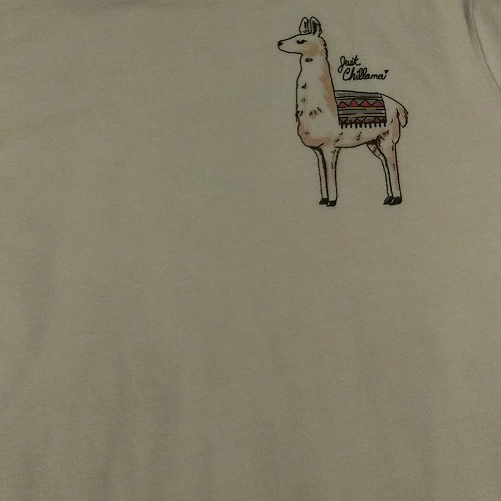 Aeropostale shirt